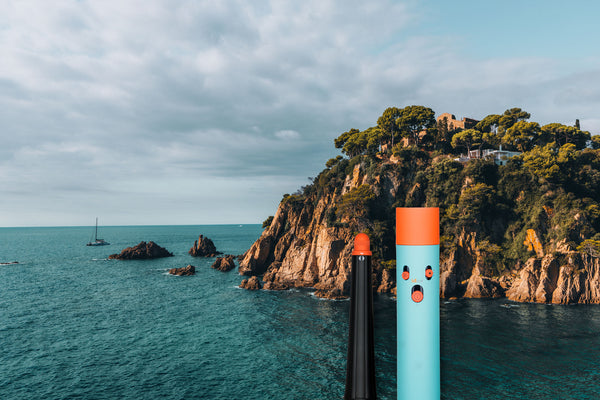 A coastal landscape with a rocky cliff covered in green trees, blue sea, cloudy sky, and two cylindrical posts in the foreground, one light blue with an orange top and circular cutouts, and one black with a matching orange top.